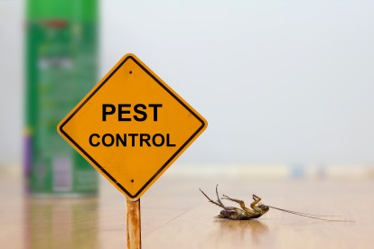 Pest Contol in Bermondsey, Borough, Southwark, SE1. Call Now 020 8166 9746